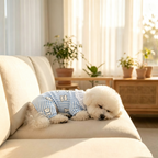 Aesthetic Full-Cotton Anti-Shedding Pet Home Wear - Tummy Protection Onesie & Polo Shirt (XS-2XL)