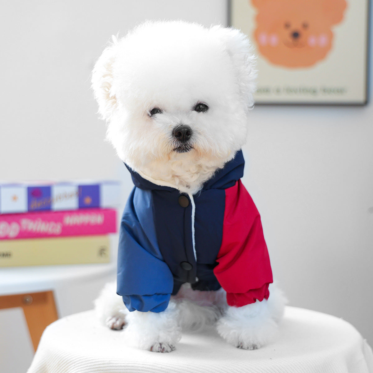 The Pet Edit | Bark Explorer Heavy-Duty Fleece-Lined Winter Parka (XS-XL)