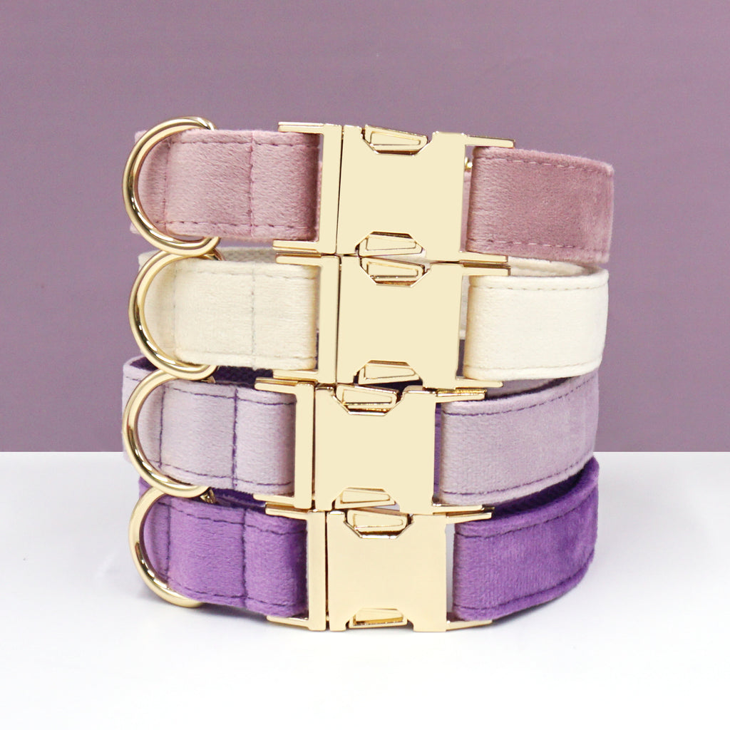 The Pet Edit | Luxury Velvet Collar Collection (Group 1)