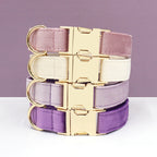 Pawmuse | Luxury Laser Engraved Personalized Velvet Collar Collection (Group 1) - Image 6
