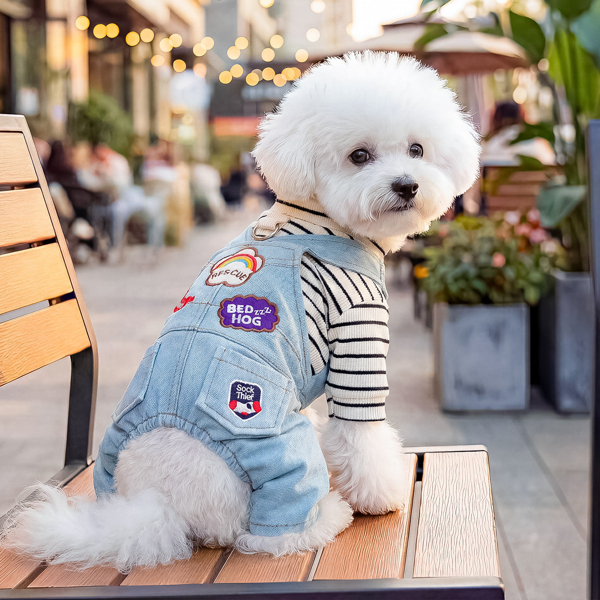 The Pet Edit | Urban Explorer Pet Overalls Collection (Group 1)