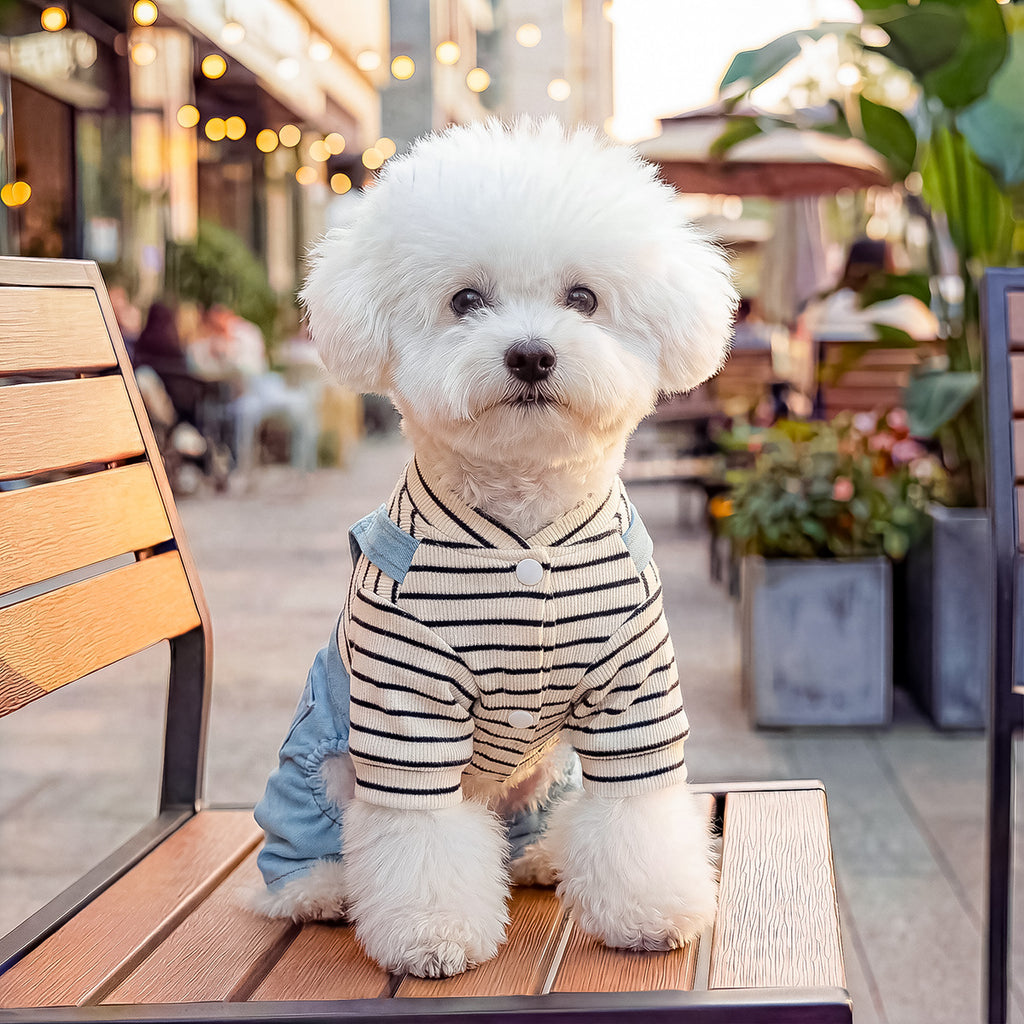 The Pet Edit | Urban Explorer Pet Overalls Collection (Group 1)