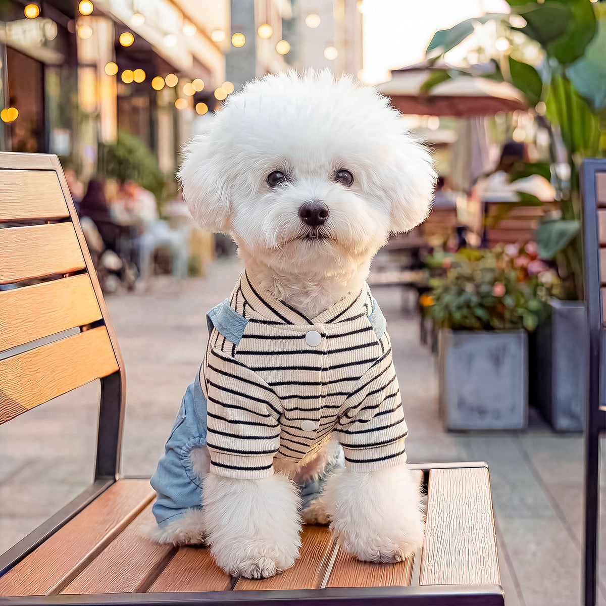 The Pet Edit | Urban Explorer Pet Overalls Collection (Group 1)