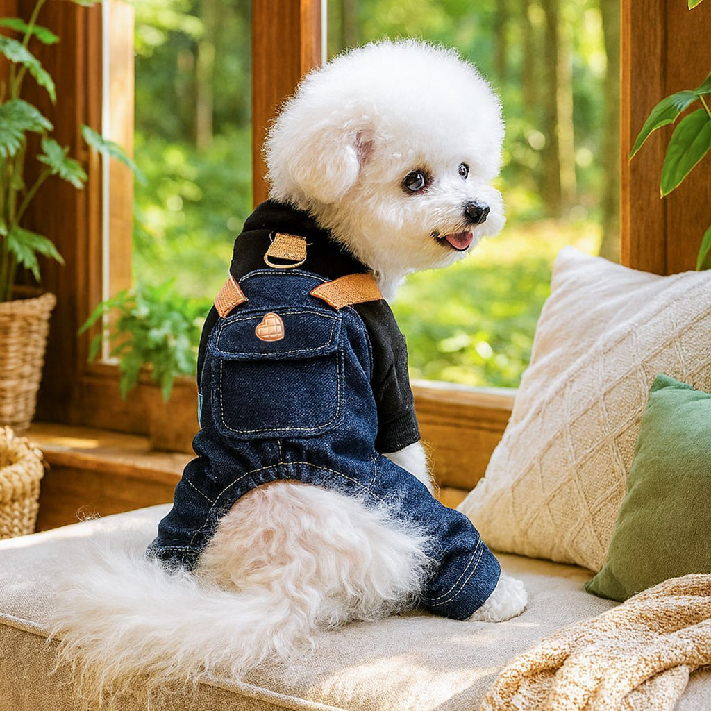 The Pet Edit | Playful Dreams Pet Overalls Collection (Group 2)
