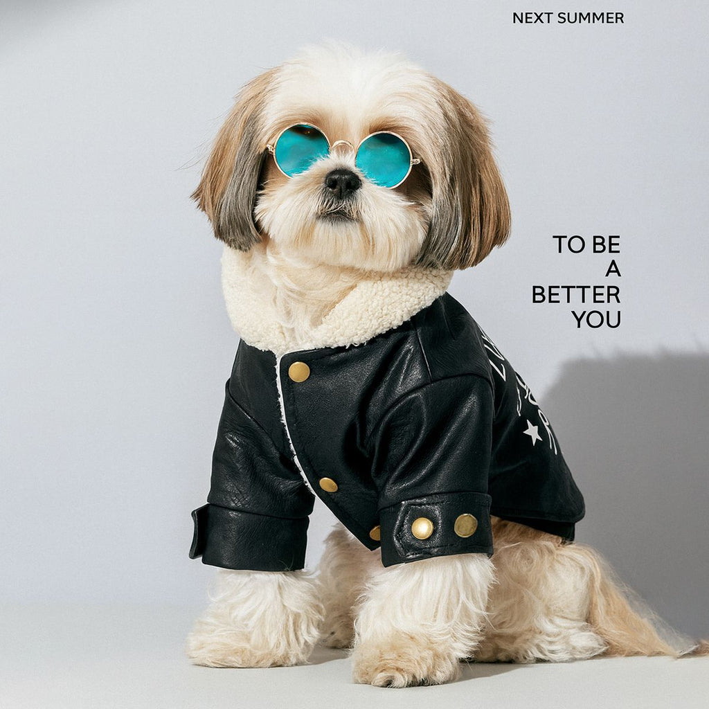 The Pet Edit | Professional Heavy-Duty Pet Winter Collection - Fleece-Lined Denim & Leather Jackets