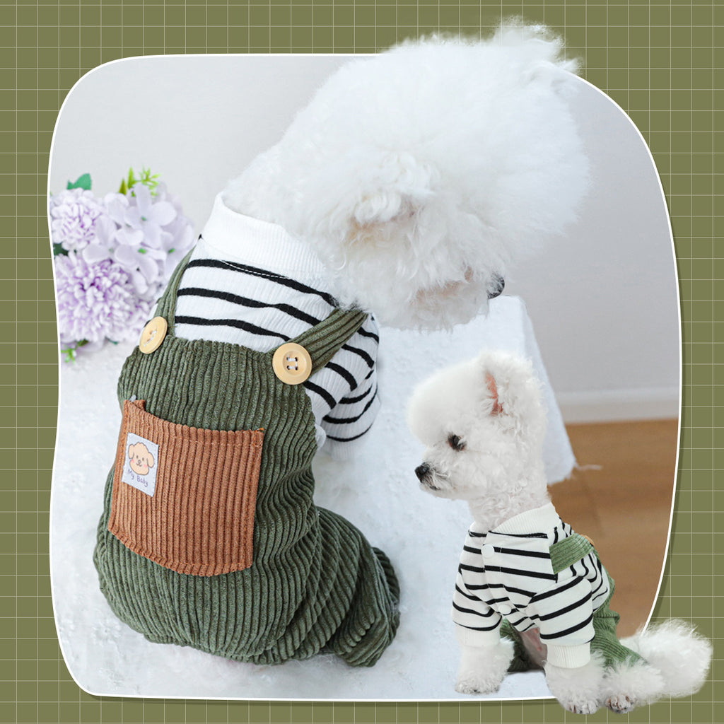 The Pet Edit | Urban Explorer Pet Overalls Collection (Group 1)