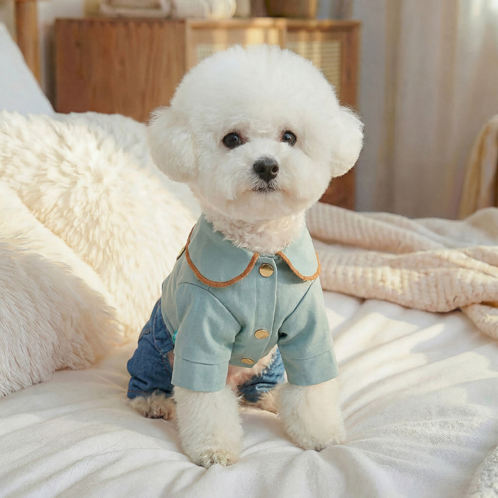 The Pet Edit | Playful Dreams Pet Overalls Collection (Group 2)