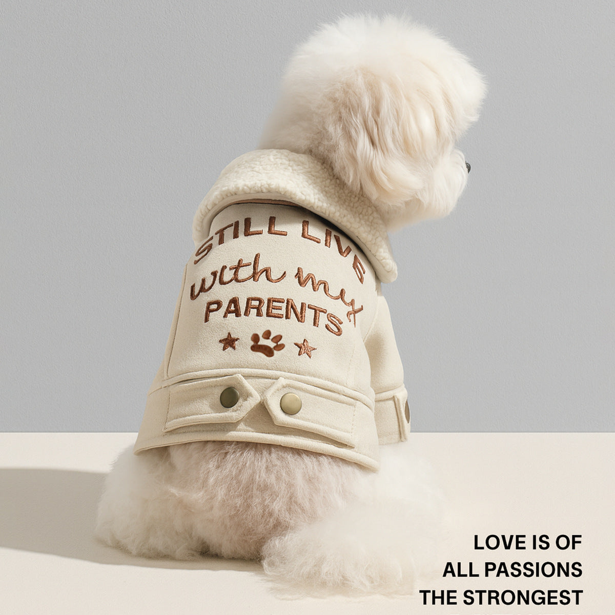 The Pet Edit | Professional Heavy-Duty Pet Winter Collection - Fleece-Lined Denim & Leather Jackets