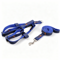 The Pet Edit | Vintage American Denim Pet Harness & Leash Set