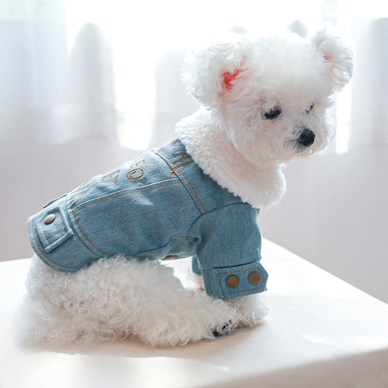 The Pet Edit | Professional Heavy-Duty Pet Winter Collection - Fleece-Lined Denim & Leather Jackets