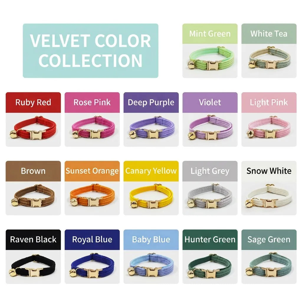 Velvet Color Collection Catalog