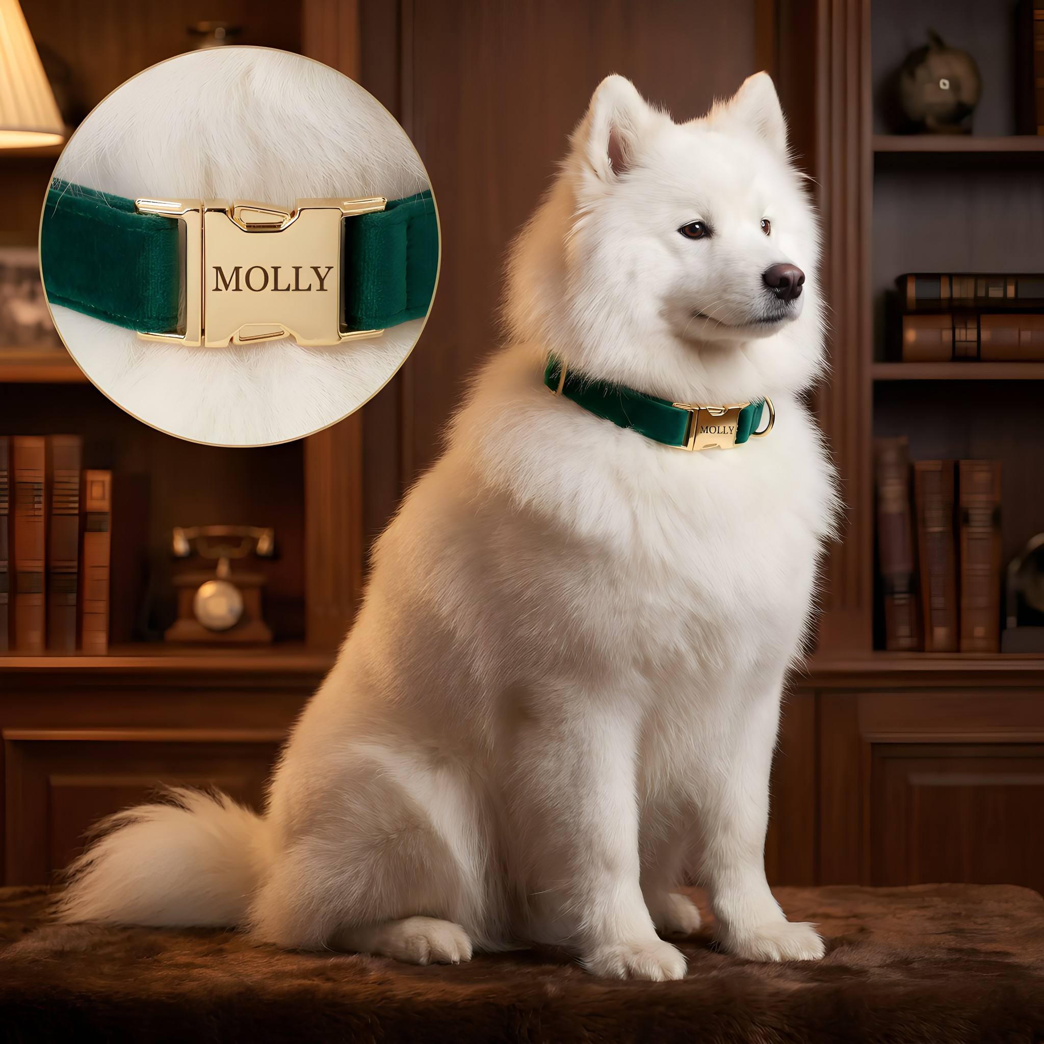 The Pet Edit | Luxury Velvet Collar Collection (Group 2)