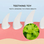 Catnip ball toy with natural gall fruit and catnip for indoor cats