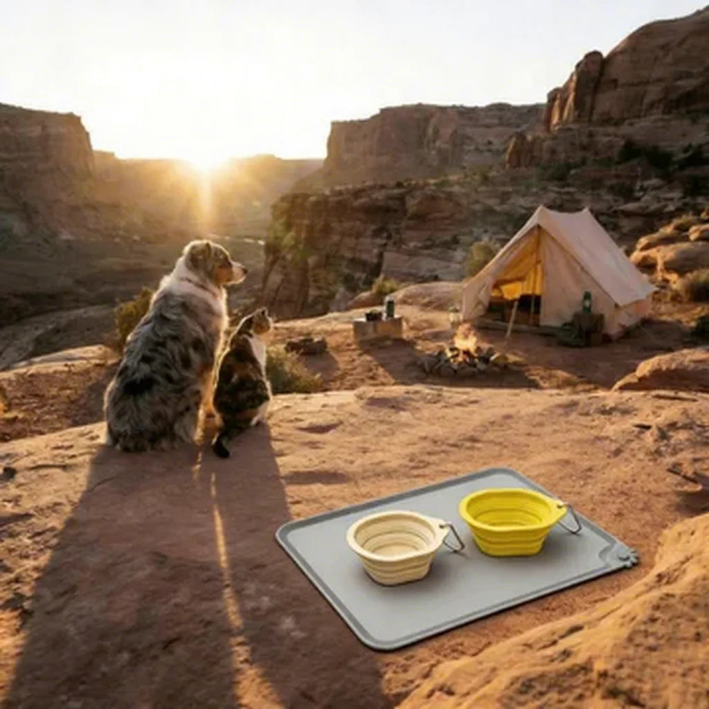 Adventure Pet Dining Kit - 3-Piece Collapsible Travel Set (2 Bowls + 1 Food Mat) for Hiking, Camping, Road Trips