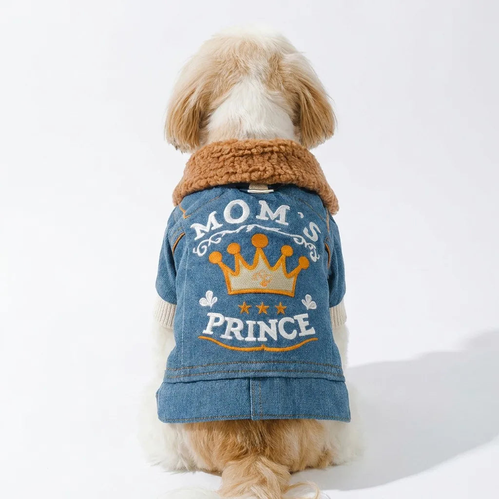 Little Prince Royal Denim Official View