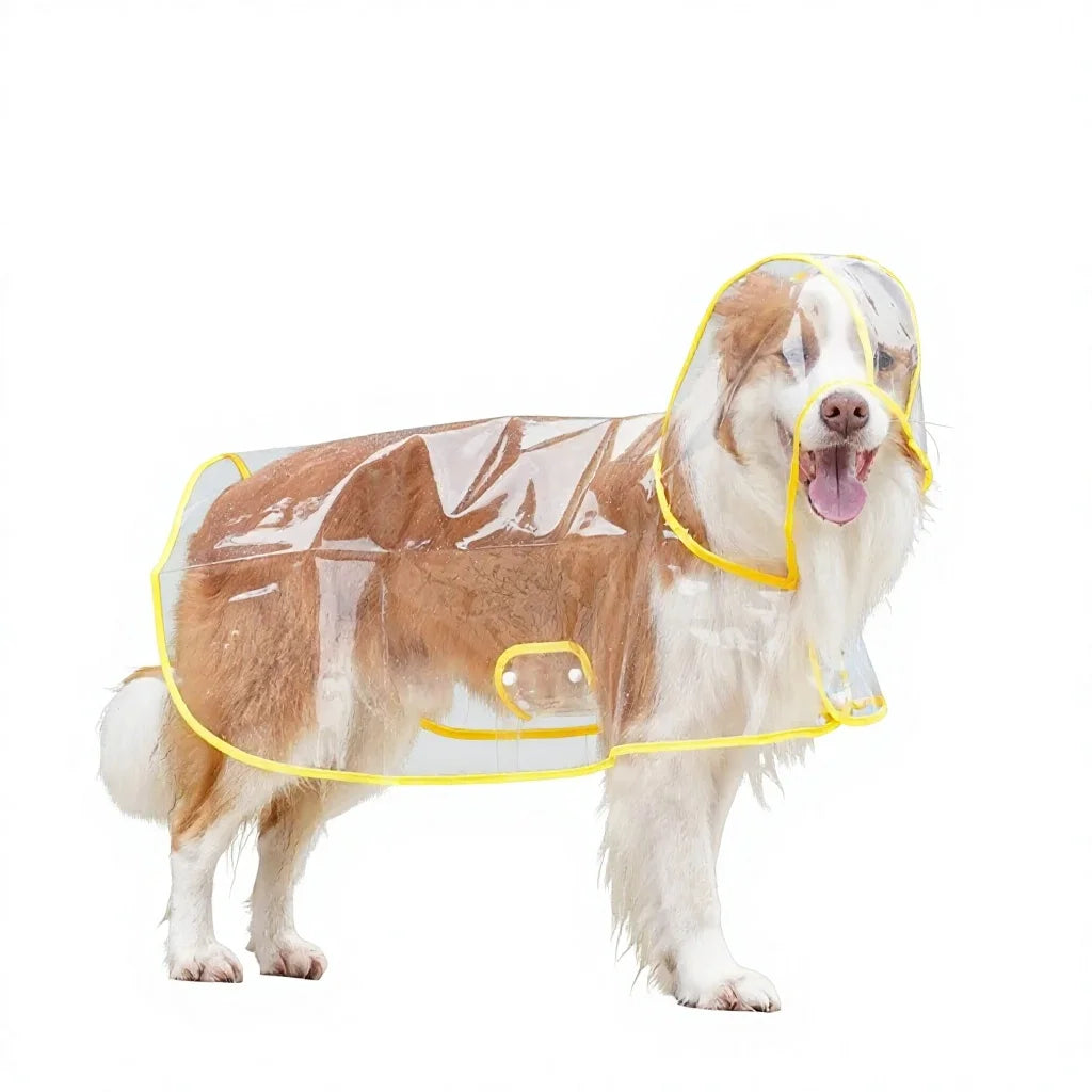 Canary Yellow Variant - Clean White Background