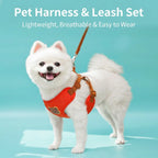 Aesthetic Pet Harness & Leash Set Hero