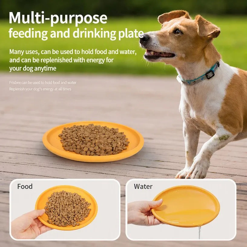 Pawmuse dog flying disc detail graphic - usage and features