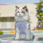 Summer Cooling Vest in Action - Cat View 2
