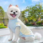 Summer Cooling Vest in Action - Dog