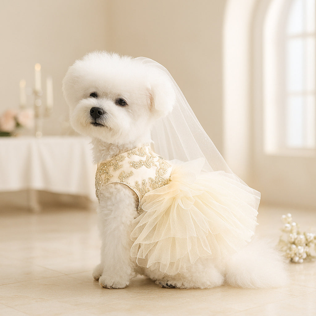 Aesthetic Pearl & Lace Pet Wedding Dress Gown - Premium Gala Collection