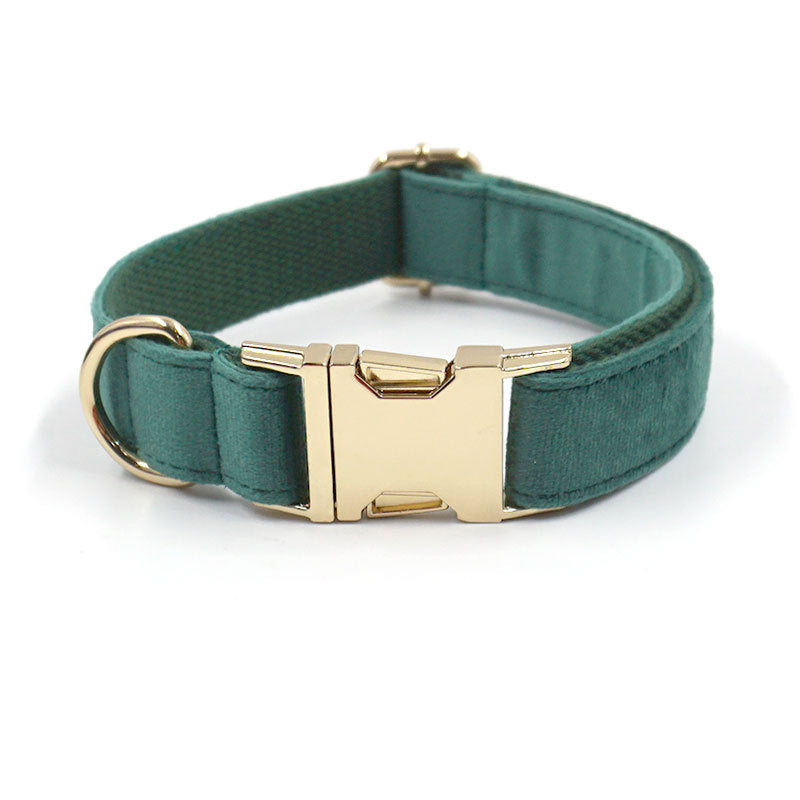 The Pet Edit | Luxury Velvet Collar Collection (Group 1)