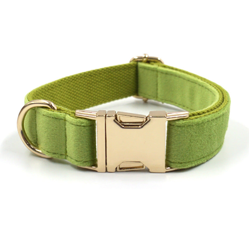The Pet Edit | Luxury Velvet Collar Collection (Group 1)