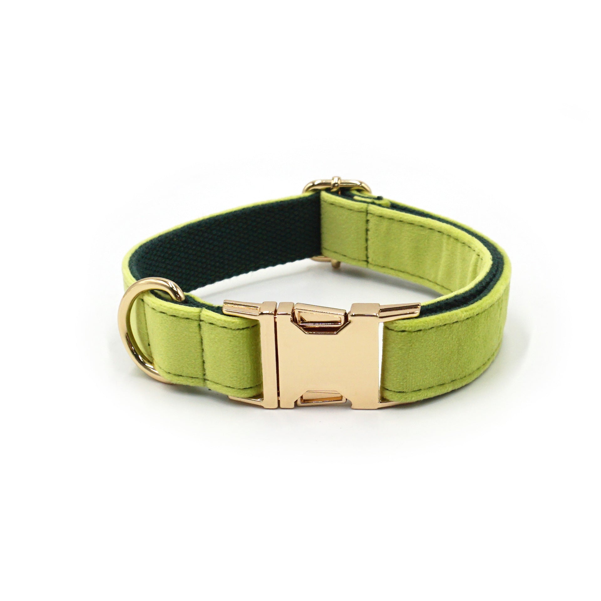 The Pet Edit | Luxury Velvet Collar Collection (Group 1)
