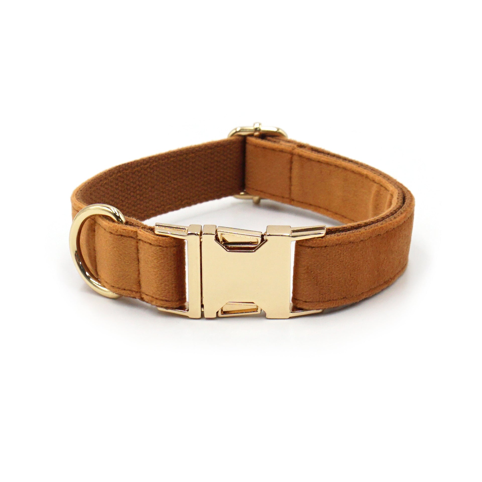 The Pet Edit | Luxury Velvet Collar Collection (Group 1)