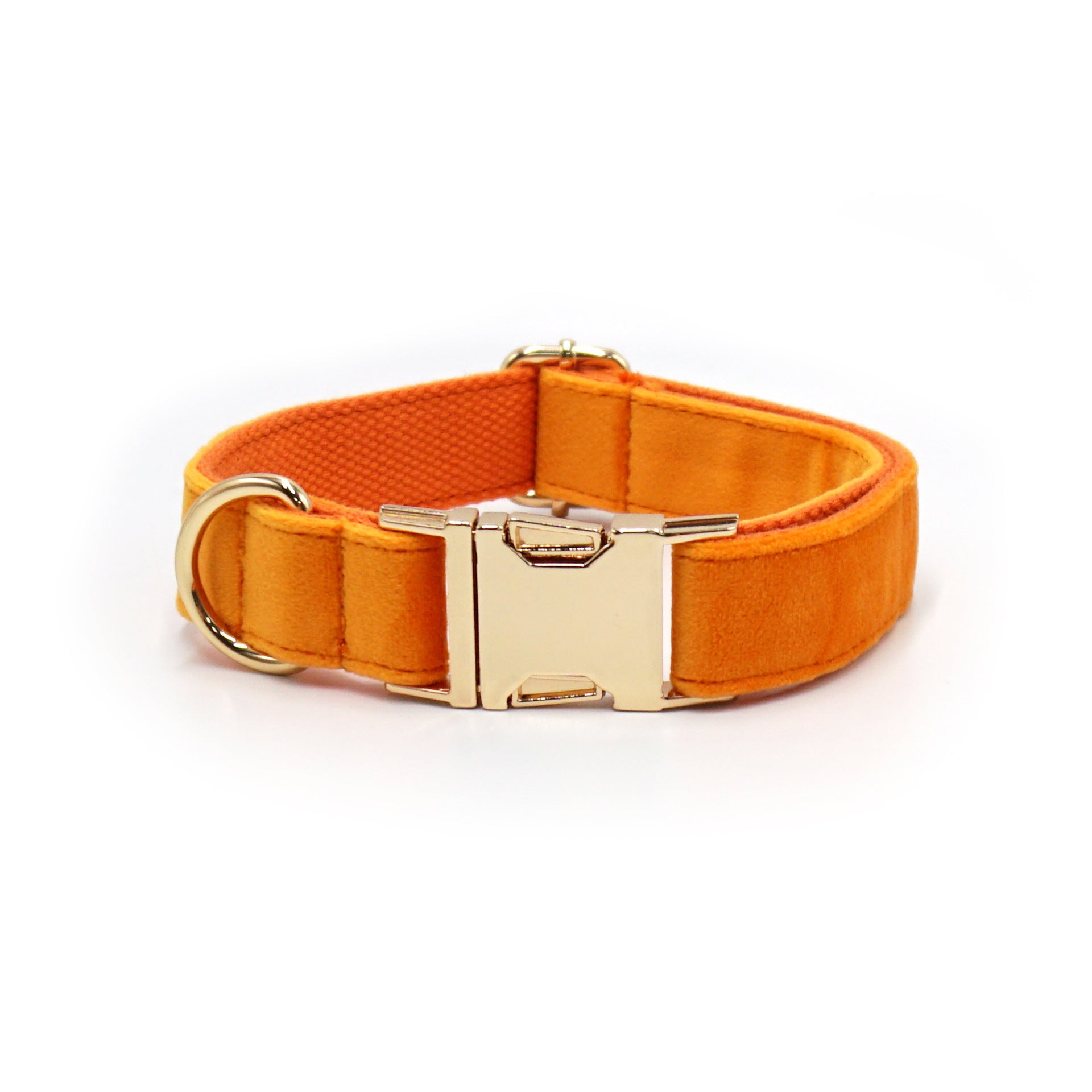 The Pet Edit | Luxury Velvet Collar Collection (Group 1)