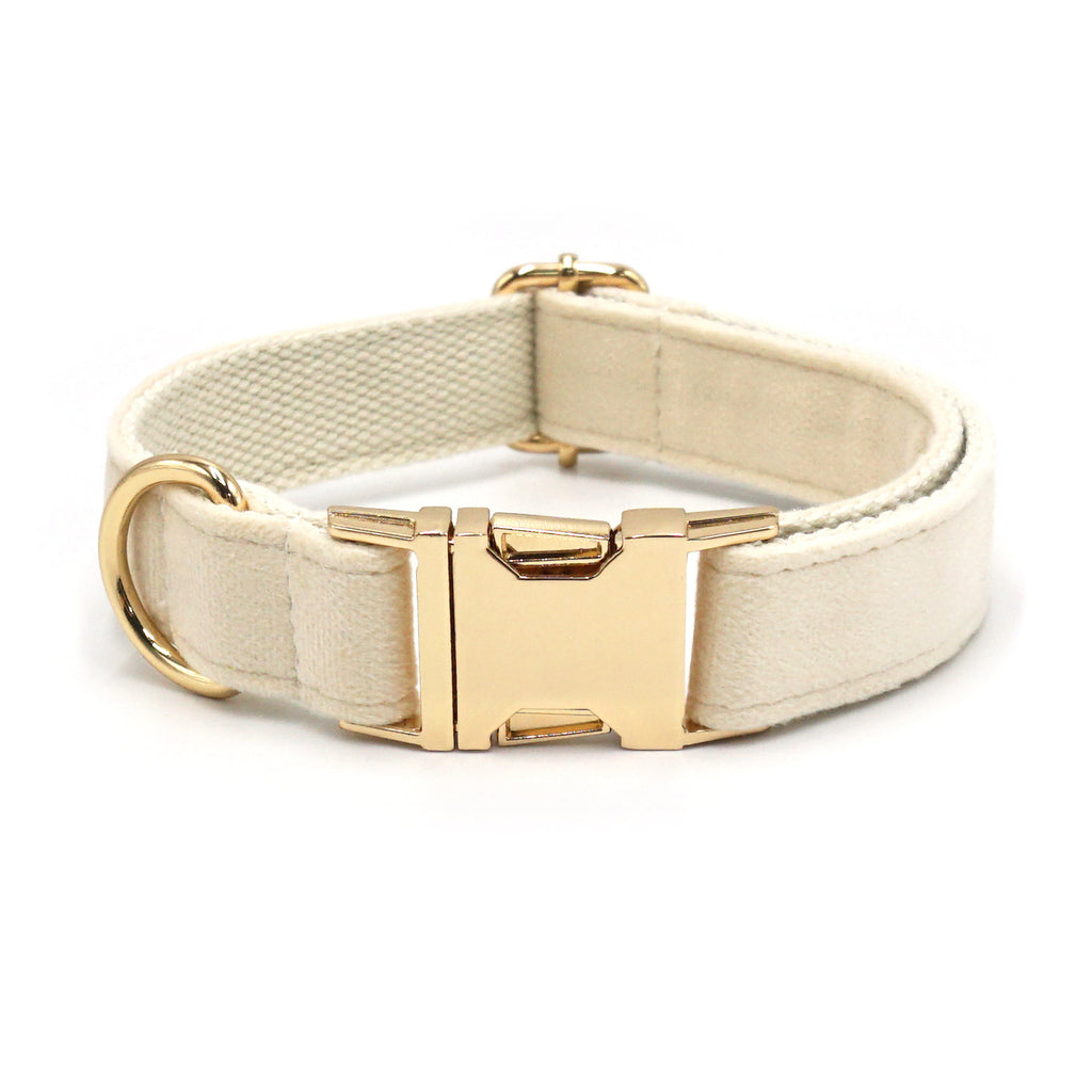 The Pet Edit | Luxury Velvet Collar Collection (Group 1)