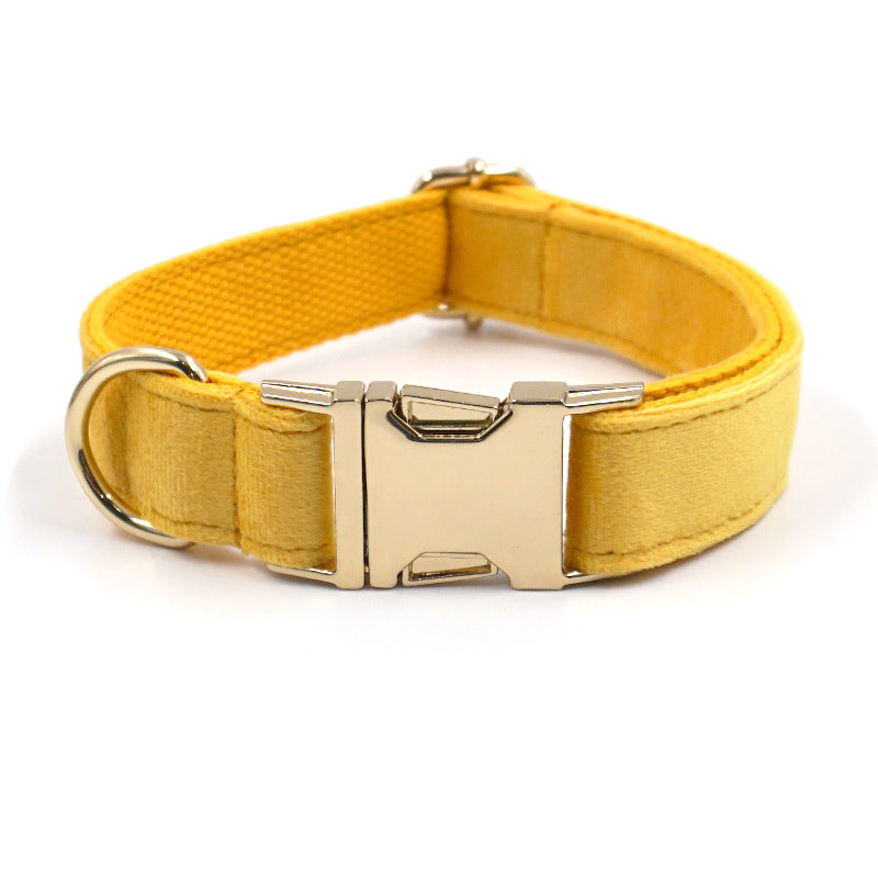 The Pet Edit | Luxury Velvet Collar Collection (Group 2)