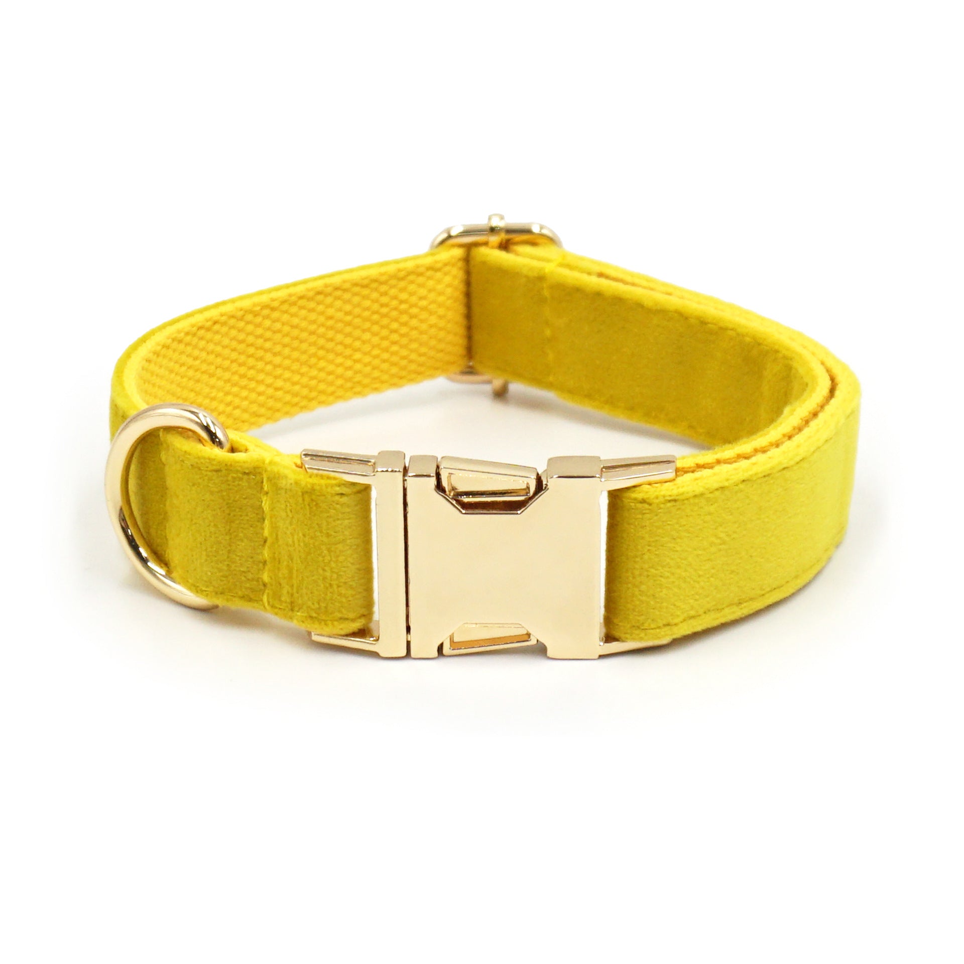The Pet Edit | Luxury Velvet Collar Collection (Group 2)