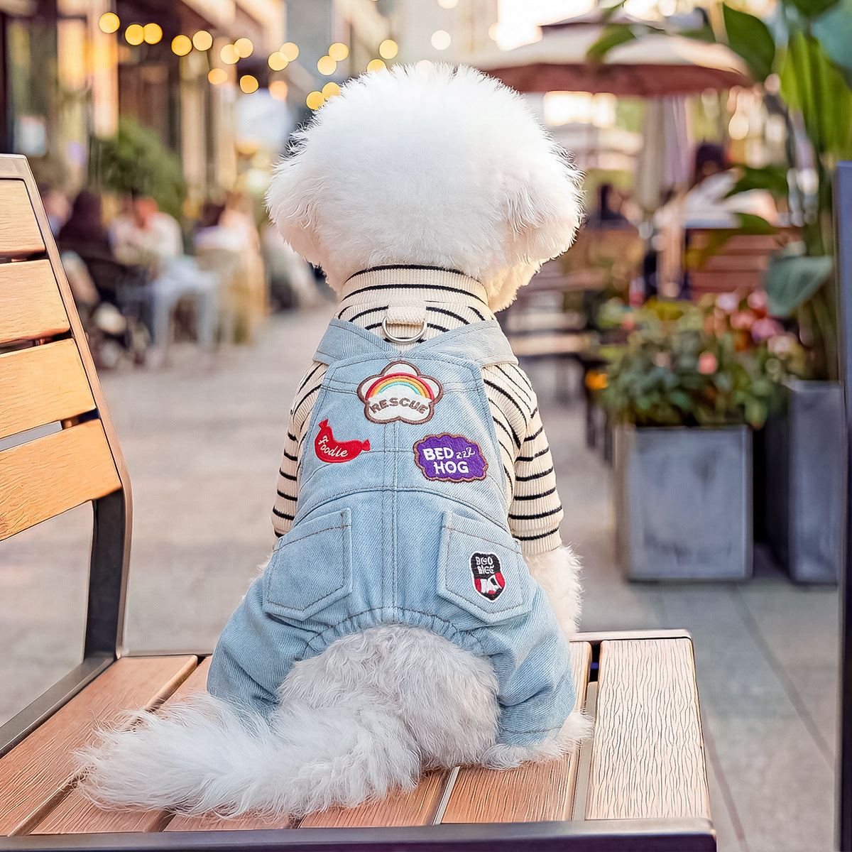 The Pet Edit | Playful Dreams Pet Overalls Collection (Group 2)