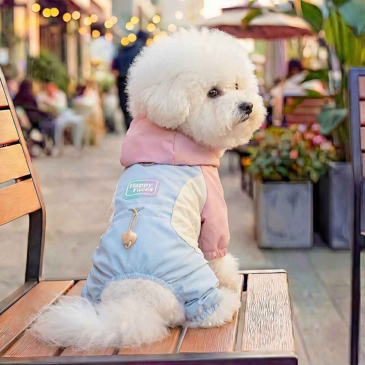 The Pet Edit | Playful Dreams Pet Overalls Collection (Group 2)