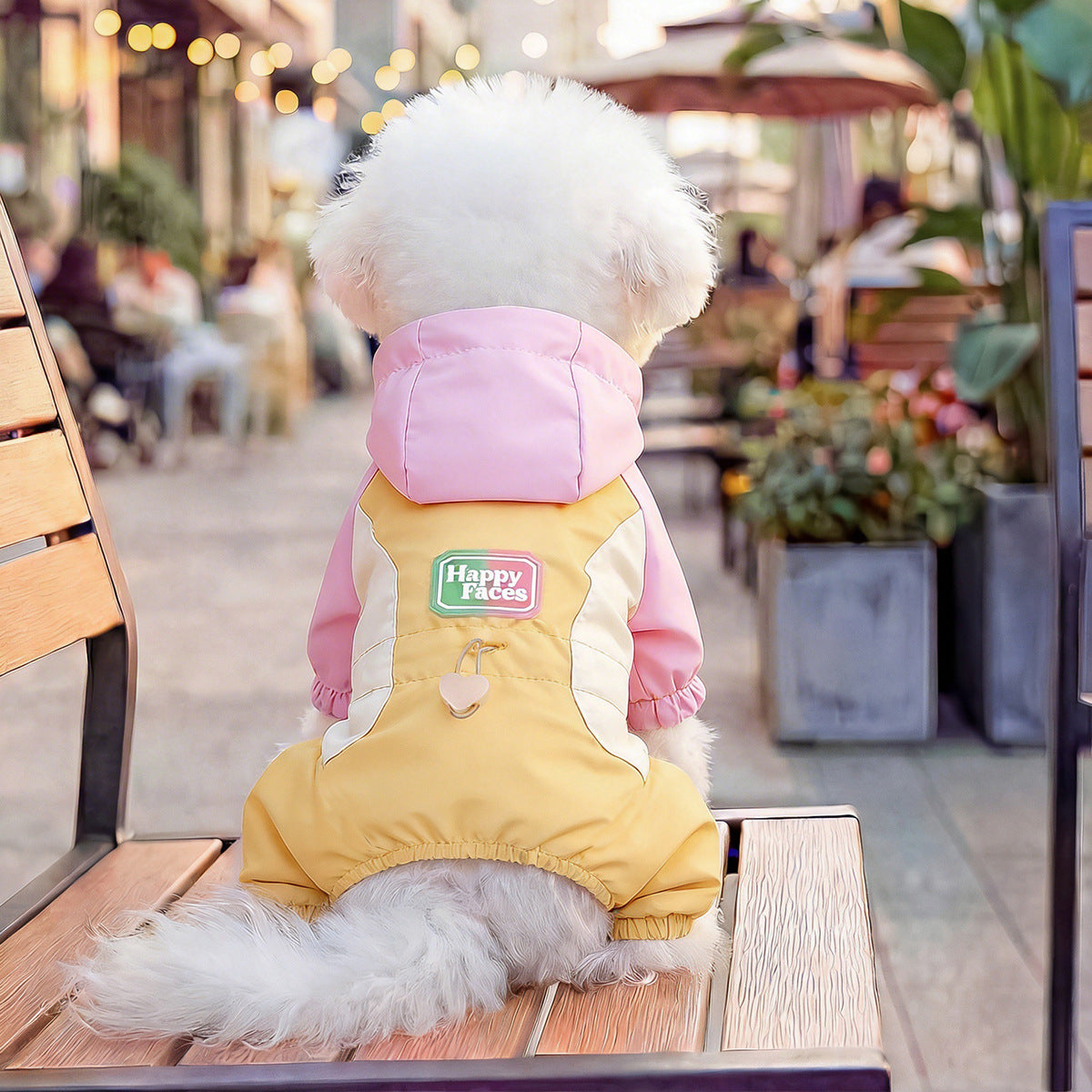 The Pet Edit | Playful Dreams Pet Overalls Collection (Group 2)