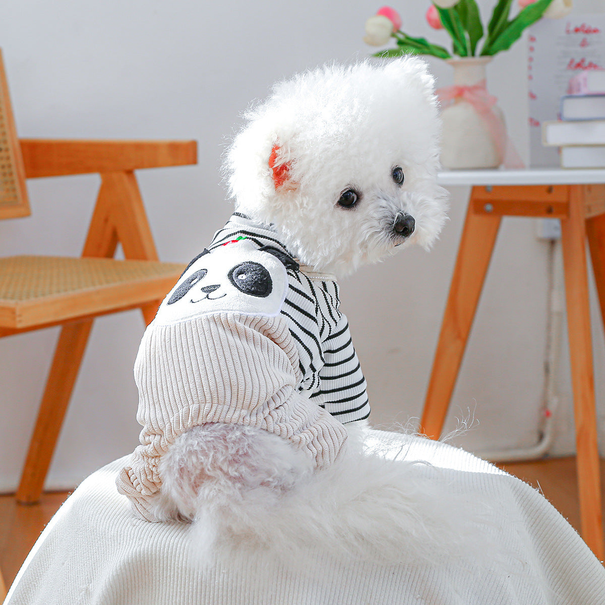 The Pet Edit | Urban Explorer Pet Overalls Collection (Group 1)